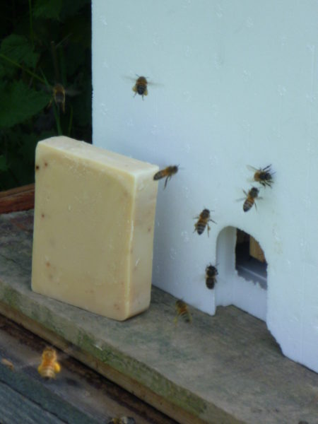 Savon "Trésor des Incas" au miel (idéal pour peaux sèches) – Image 4