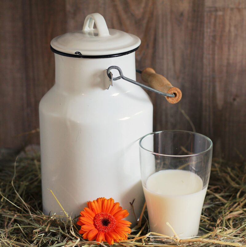 Savon au lait de chèvre en forme de buchettes - Douceur et