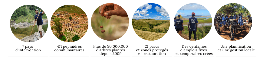 Graine de vie projets site - L'abre à savon
