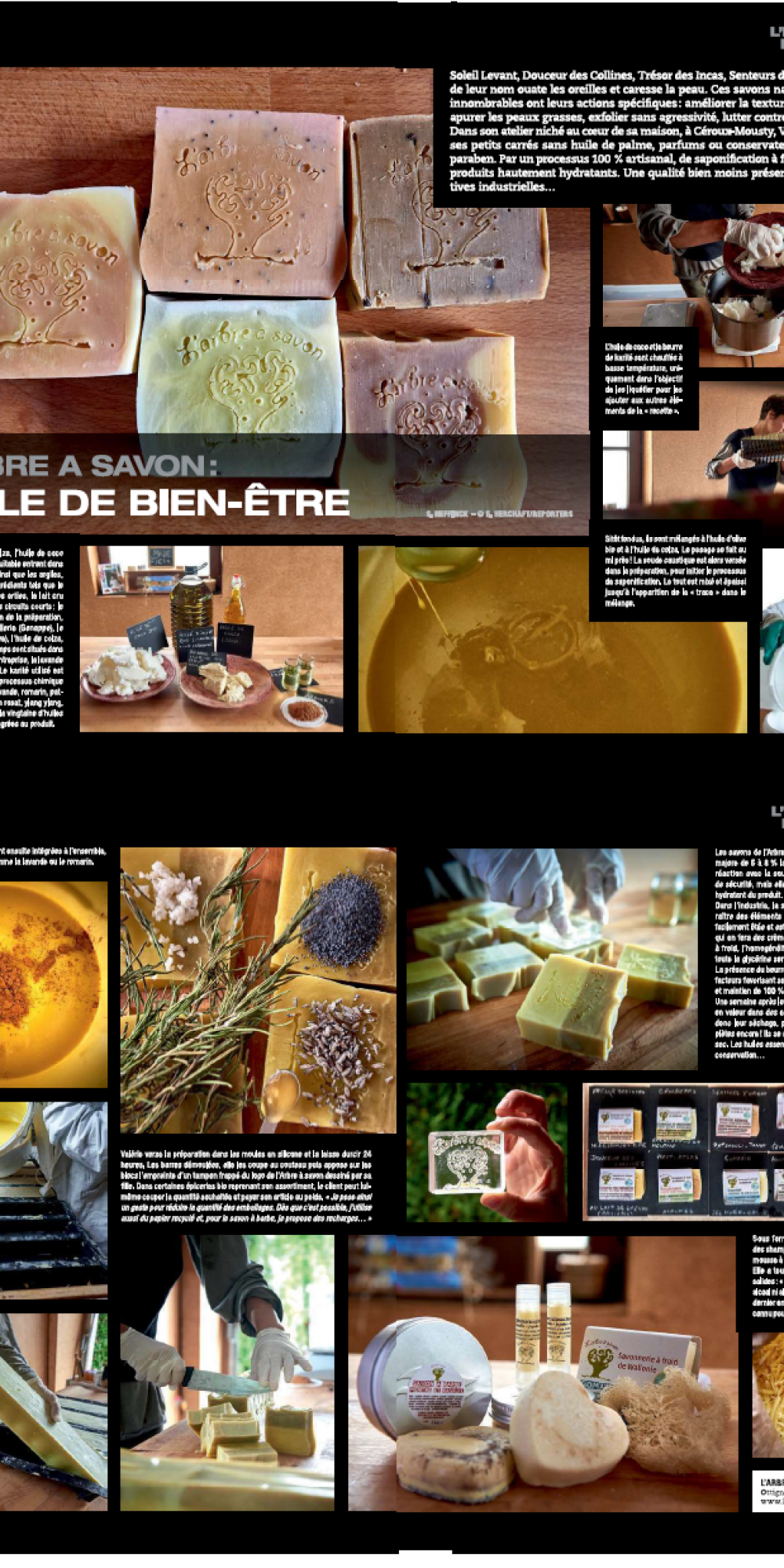 cci magazine cci magazine